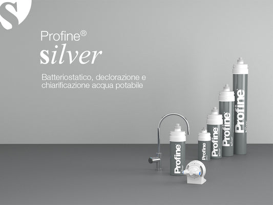 Ricambio Filtro Profine Silver Small